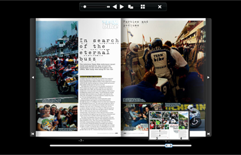 PageIT Flash Viewer